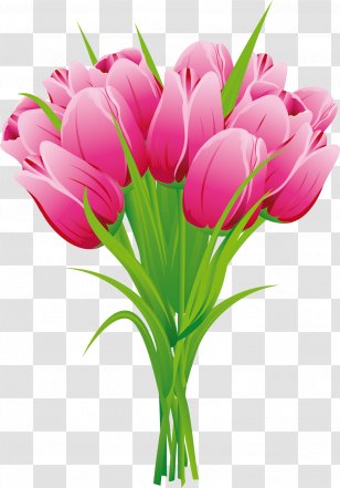 Flower Bouquet Tulip Clip Art - Lily Family Transparent PNG