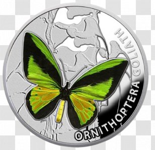 Butterflies And Moths Silver Coin Insect Wing Nature - Papilio Machaon Transparent PNG