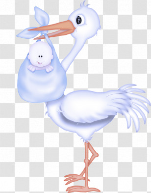 Bird Stork Cartoon Ciconiiformes Beak Transparent PNG