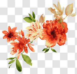 Flowers - Beautiful Orange Flowers Transparent PNG