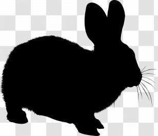 Domestic Rabbit Hare Black & White - Correios - M Whiskers Transparent PNG