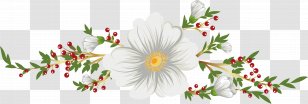 Flower Computer File - Vecteur - Small Fresh White Decoration Title Box Transparent PNG