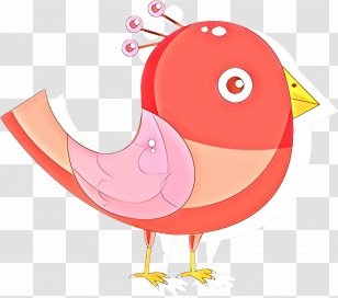 Rooster Swans Goose Chicken Clip Art - Bird Transparent PNG