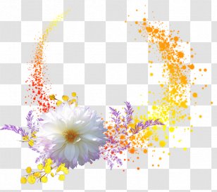 Floral Design Desktop Wallpaper - Flowering Plant - Body Jewelry Transparent PNG