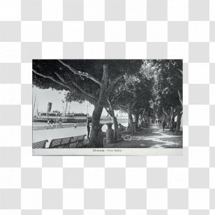 Fountain Of Arethusa Picture Frames South Italy - Frame - Casina Di Macchia Madama Transparent PNG