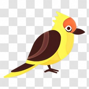 Bird Cartoon Beak Yellow Songbird - Old World Flycatcher Perching Transparent PNG