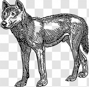 Dingo Rottweiler English Cocker Spaniel Clip Art - Black And White - Vector Clouded Leopard Transparent PNG