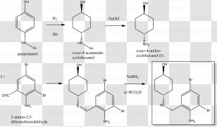 Bromhexine Ambroxol Mucokinetics Pharmaceutical Drug Chemical Synthesis - Black And White Transparent PNG