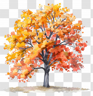 Maple Tree - Vivid Autumn Tree With Red And Orange Leaves Transparent PNG