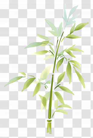 Watercolor Bamboo - Green Bamboo Plant Illustration Transparent PNG