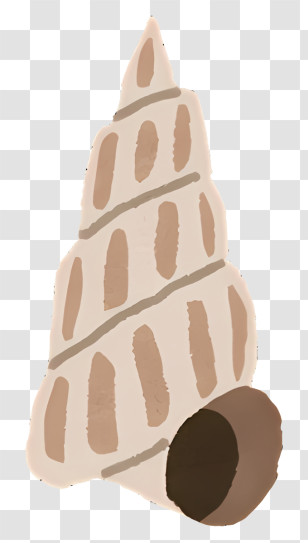 Seashell - Beige Seashell Illustration Transparent PNG