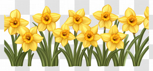Daffodil Border - Spring Blooming Flowers Transparent PNG