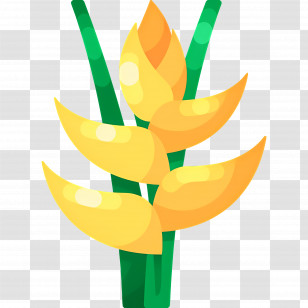 Tropical Flower - Yellow Tropical Plant Transparent PNG