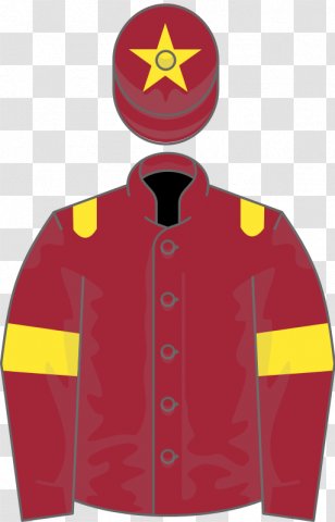Cheltenham Festival Racecourse Thoroughbred Spa Novices' Hurdle National Hunt Chase Challenge Cup - Racing Transparent PNG