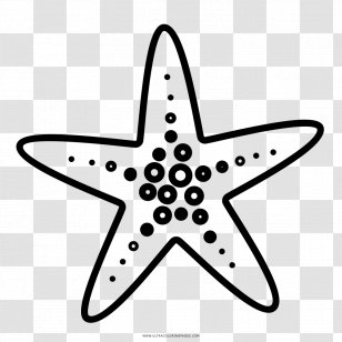 Starfish Drawing Coloring Book Doodle - Animal Transparent PNG