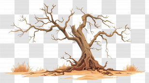 Dead Tree - Barren Tree In A Dry And Deserted Land Transparent PNG
