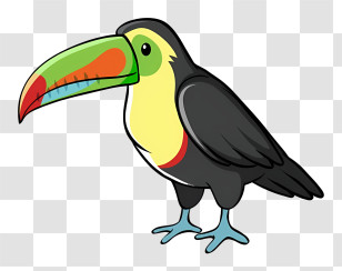 Bird Parrot - Cartoon Toucan With Colorful Beak Transparent PNG