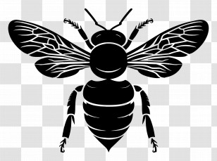 Bee Silhouette - Black Bee Silhouette For Nature-Inspired Designs Transparent PNG
