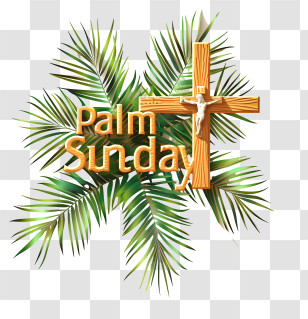Palm Sunday - Palm Sunday Celebration With Cross And Palm Leaves Transparent PNG