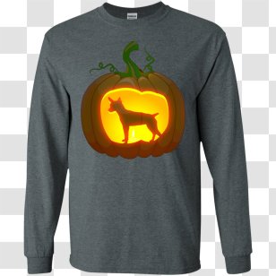 Long-sleeved T-shirt Hoodie Raglan Sleeve - Rat & Mouse Transparent PNG