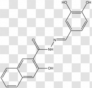 Phosphoinositide 3-kinase Enzyme Inhibitor Protein Kinase B Receptor Cell Membrane - Symmetry - Monochrome Transparent PNG
