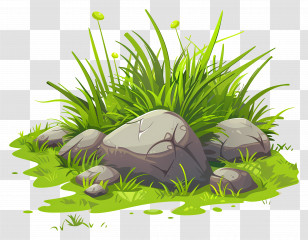 Grass Ground - Grass And Rocks In Natural Landscape Transparent PNG