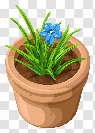 Plants Top View - Potted Plant With Single Blue Flower Transparent PNG