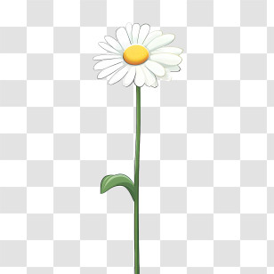 Daisy Flower - White Daisy Flower With Green Stem Transparent PNG