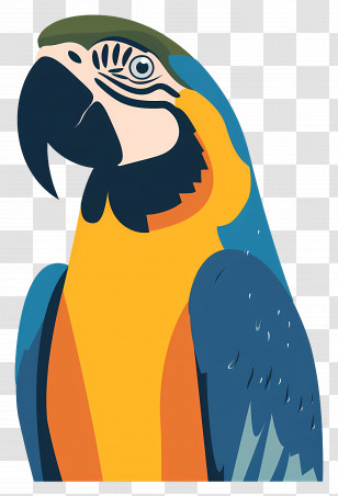Macaw - Yellow Macaw Tropical Bird Cartoon Illustration Transparent PNG
