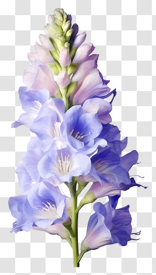 Watercolor Delphinium Flower - Purple Gladiolus Flowers Transparent PNG