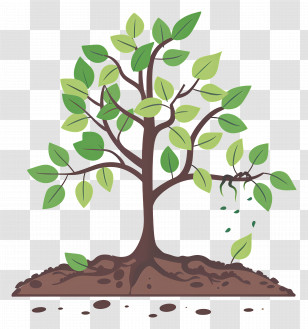 Tree Growing - Cartoon Tree With Green Leaves Transparent PNG