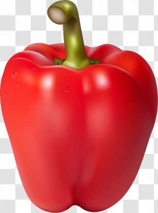 chili png images transparent chili images chili png images transparent chili images