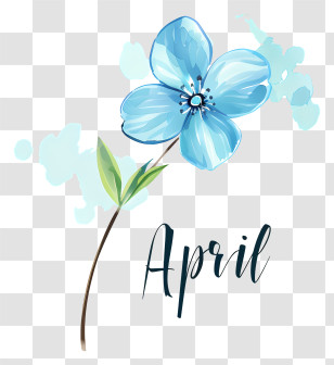 Hello April - April With Blue Flower Illustration Transparent PNG