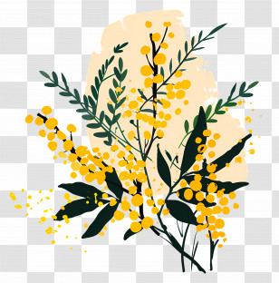 Mimosa Flowers - Mimosa Plant With Yellow Blooms Transparent PNG