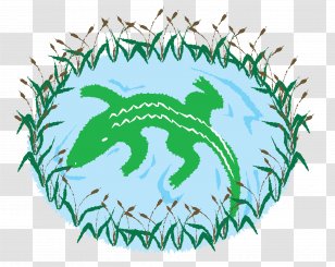 Clip Art Vector Graphics Illustration Image - Line - Pond Transparent PNG