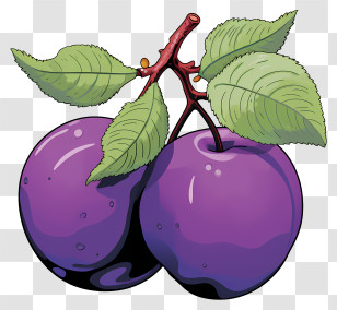 Doodle Style Plum - Purple Plums On Branch Illustration Transparent PNG