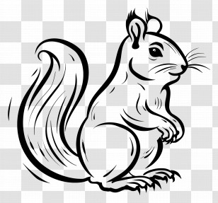 Squirrel - Black-and-White Squirrel Line Art Illustration Transparent PNG