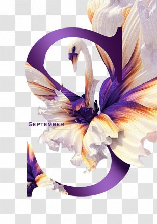 Graphic Design Idea - Letters Transparent PNG