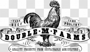 Rooster Logo Brand Beak Font - Galliformes - Design Transparent PNG