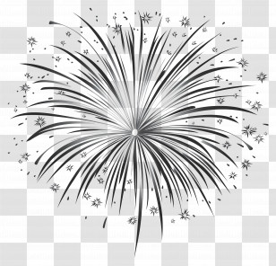 Fireworks Silver - Black And White Firework Design Transparent PNG