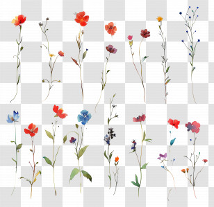 Flower Background - Delicate Watercolor Wildflowers Illustration Transparent PNG