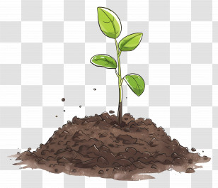Seedling In Soil - Green Seedling Growing In Soil Transparent PNG