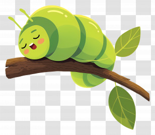 Caterpillar Sleeping On Leaf - Sleeping Green Caterpillar On Branch Transparent PNG