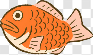 Fish Illustration - Orange Cartoon Fish Illustration Transparent PNG