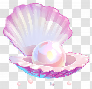 Pearl - Pink Shell With Shimmering Pearl Inside Transparent PNG