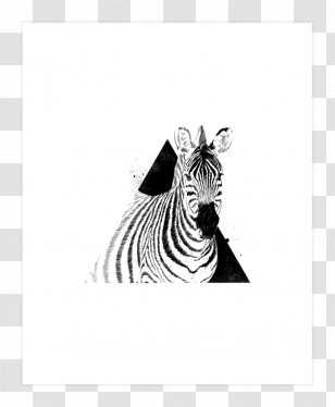 Quagga Zebra Canvas Print Paper Transparent PNG