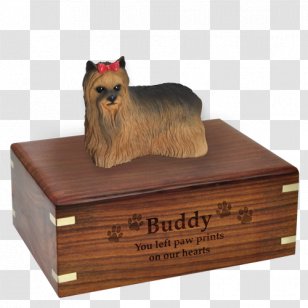 Pembroke Welsh Corgi German Shepherd White Cardigan Bearded Collie - Puppy Transparent PNG