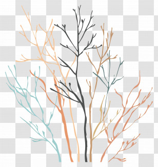 Bare Branches - Colorful Illustration Of Tree Branches Transparent PNG