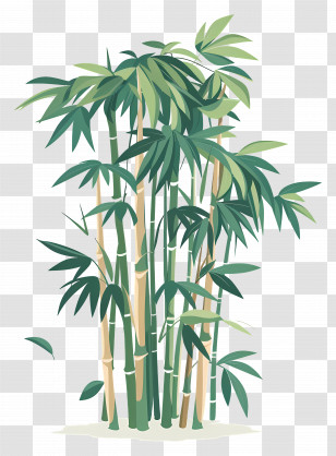Bamboo - Bamboo Illustration In Green Shades Transparent PNG
