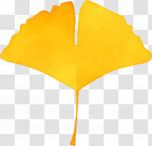 Autumn Leaf - Yellow Ginkgo Leaf Illustration Transparent PNG